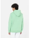 Dickies Life - Oakport Hoody - Apple Mint