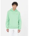 Dickies Life - Oakport Hoody - Apple Mint