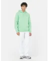 Dickies Life - Oakport Hoody - Apple Mint