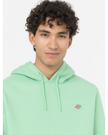 Dickies Life - Oakport Hoody - Apple Mint