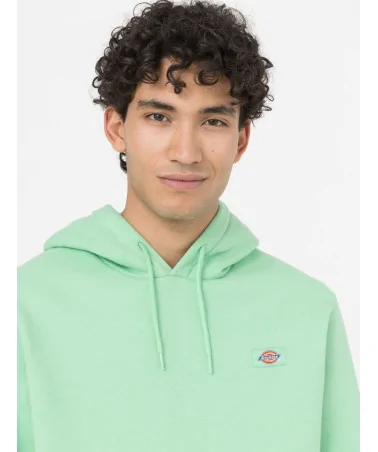Dickies Life - Oakport Hoody - Apple Mint