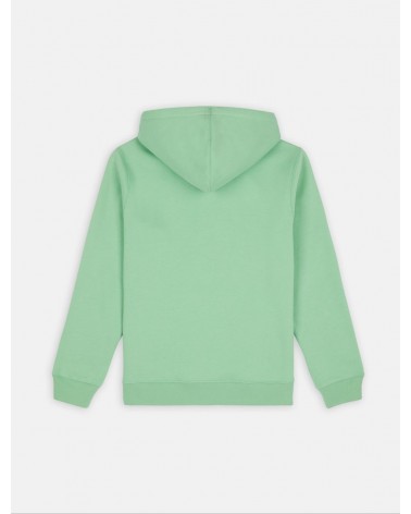 Dickies Life - Oakport Hoody - Apple Mint