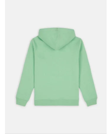 Dickies Life - Oakport Hoody - Apple Mint