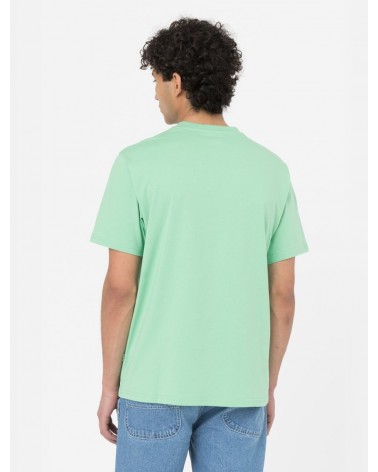 Dickies Life - Mapleton Tee - Apple Mint