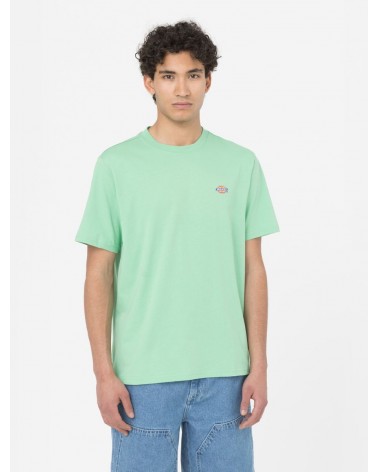 Dickies Life - Mapleton Tee - Apple Mint