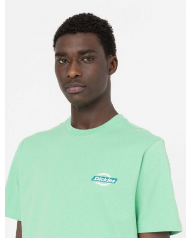 Dickies Life - Ruston Tee - Apple Mint