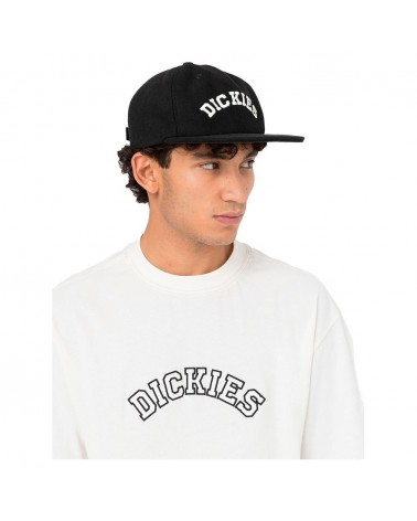 Dickies Life - West Vale Cap - Black