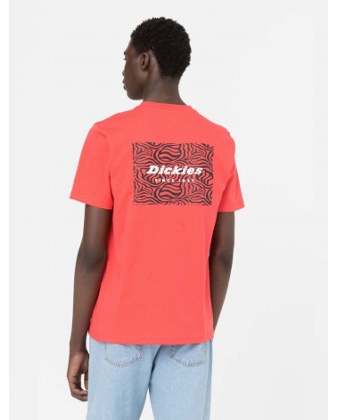 Dickies Life - Leesburg Tee - Bittersweet