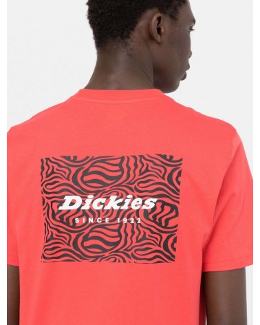 Dickies Life - Leesburg Tee - Bittersweet