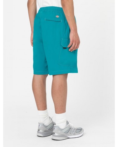 Dickies Life - Jackson Cargo Shorts - Deep Lake