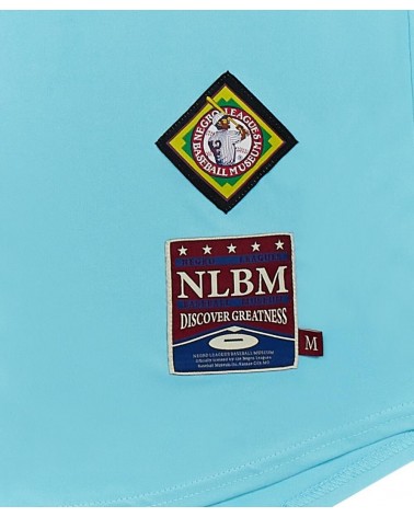 NLBM x REASON - NLBM NY Yankees Pullover Jersey