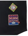 Reason x Negro League Baseball - NLBM BK Royal Giants Button Up Baseball Jersey - Black