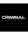 CRIMINAL DAMAGE